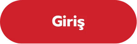 Giriş